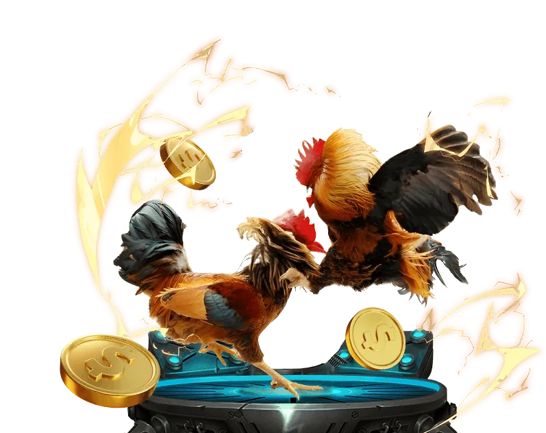 Bước 2: Điền thông tin cá nhân